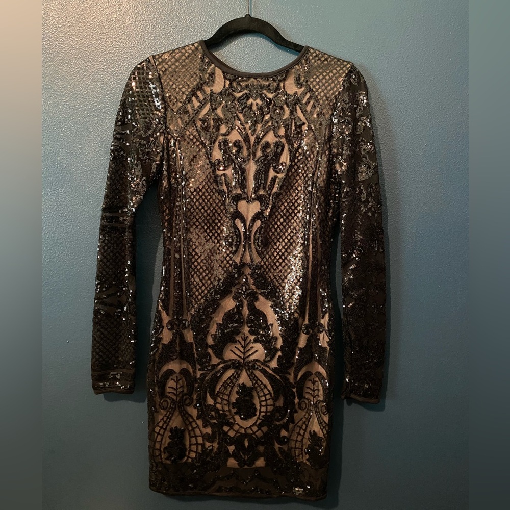 PRIVY NWOT long sleeve mesh dress